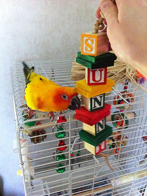 Bird toy made with blocks image