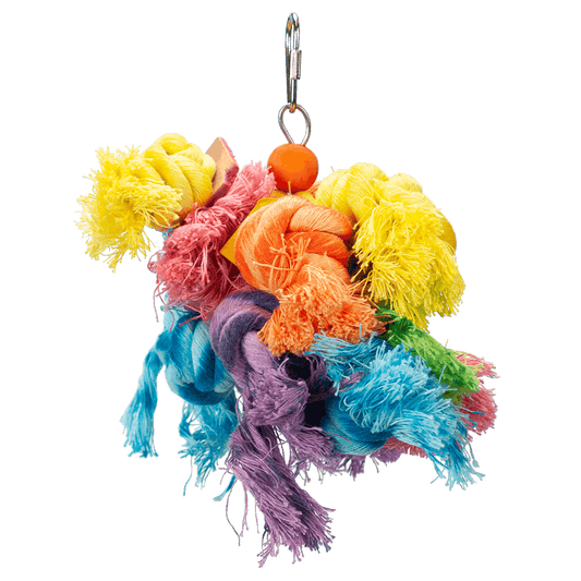 DIY Parrot Toys: Fun and Budget-Friendly Ideas for Parrot Enrichment