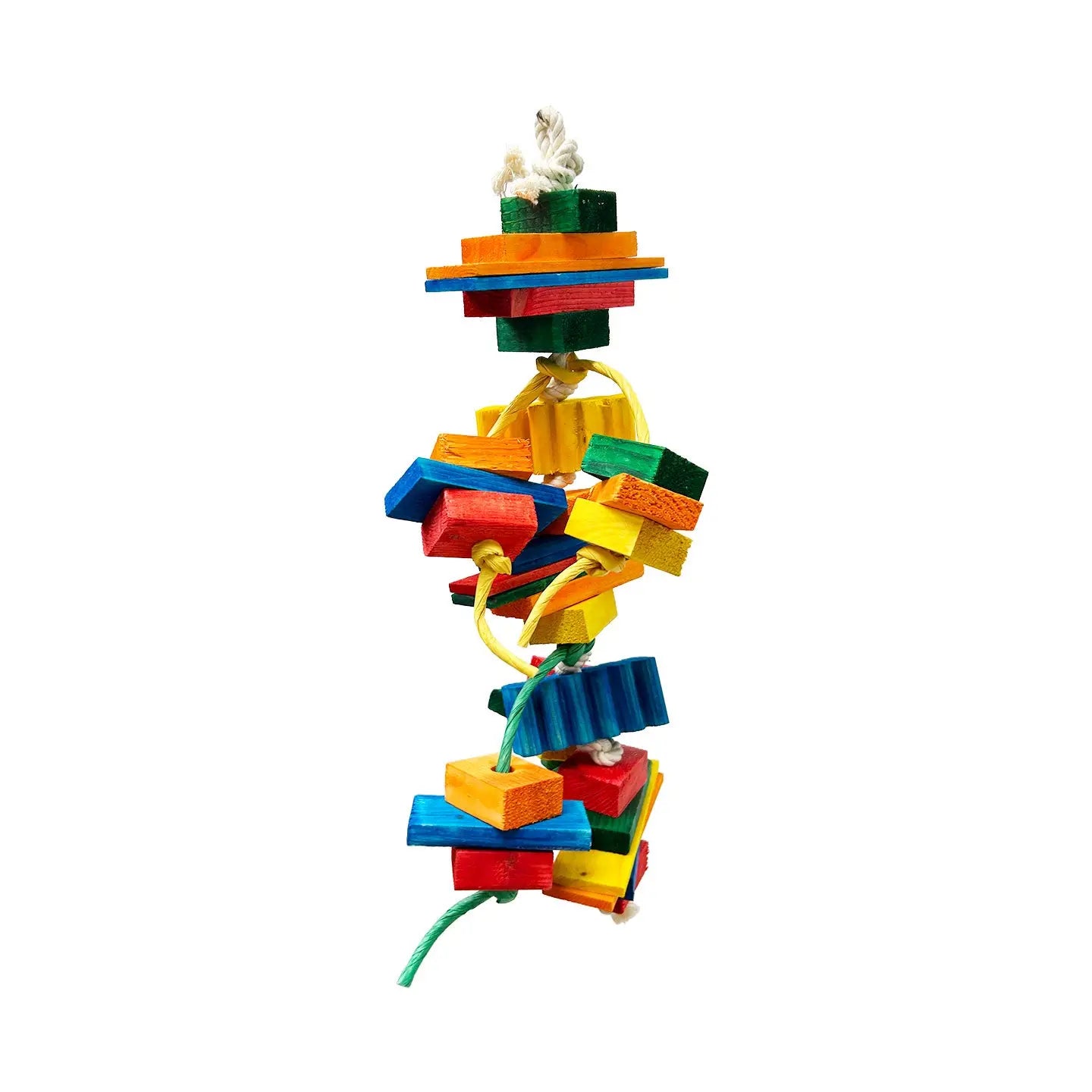 Coleop Medium - Zoo Max Zoo Max