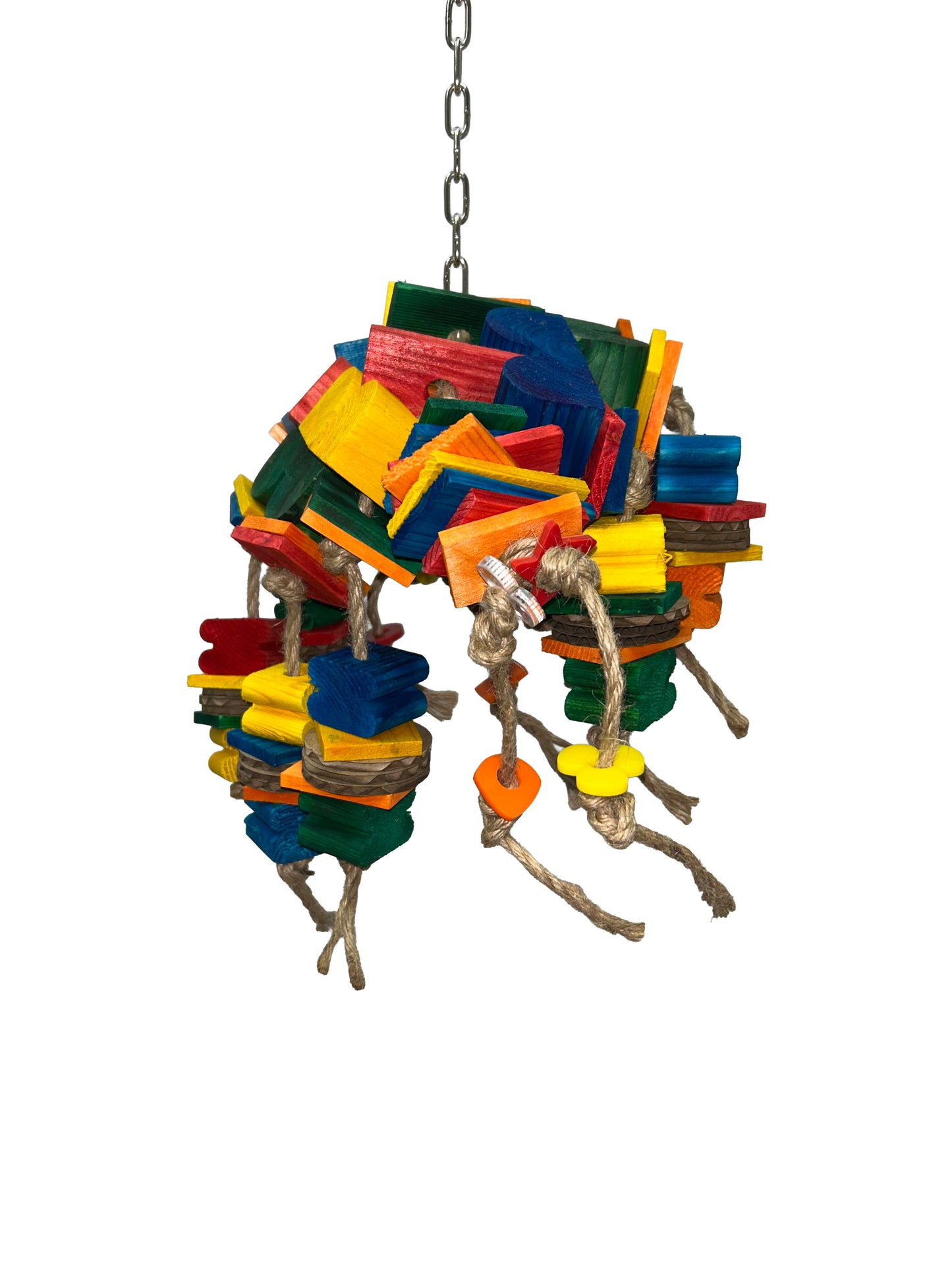 Scarab Beetle 16"x8" - Zoo Max