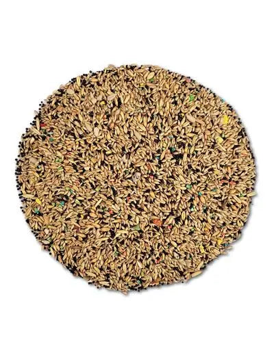 Delicious ABBA 1700 Canary Food in a per-pound pack, perfect for year-round nourishment of your beloved pet canary.