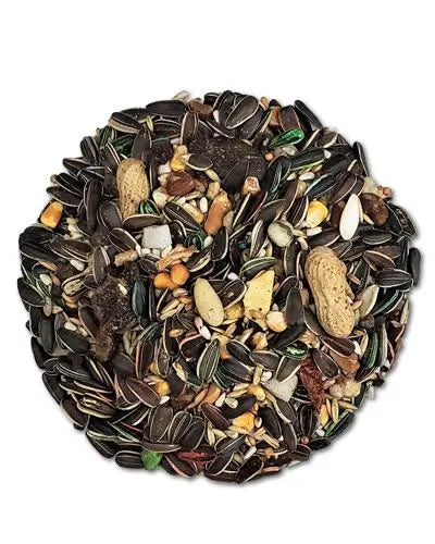 Vibrant mix of seeds, nuts, and pellets in ABBA 1500 Parrot Diet, ideal for large parrots and hookbills, served in a dish.