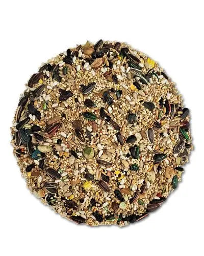 Vibrant mix of seeds and grains in Abba 1600C Cockatiel Diet, perfect for Cockatiels and Small Hookbills year-round.