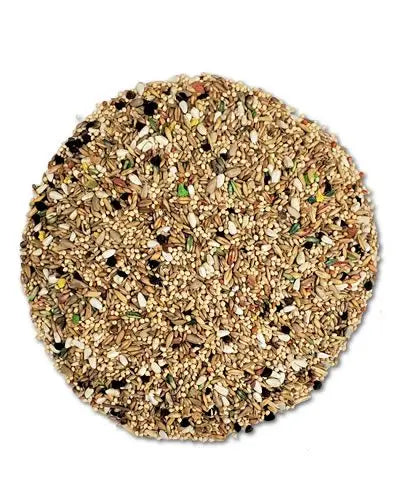 Vibrant mix of seeds and grains in Abba 1600 Small Hookbill, perfect for Parakeets and Lovebirds as a nutritious treat.