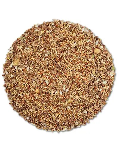 Vibrant mix of Hari Pigeon & Dove Seed, showcasing a colorful, polished blend of high-nutrition seeds for pet birds.