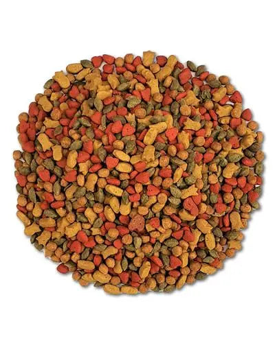 Vibrant Higgins InTune Cockatiel/Conure Pellets, showcasing natural fruit-colored, 1/4-inch pellets for bird nutrition.