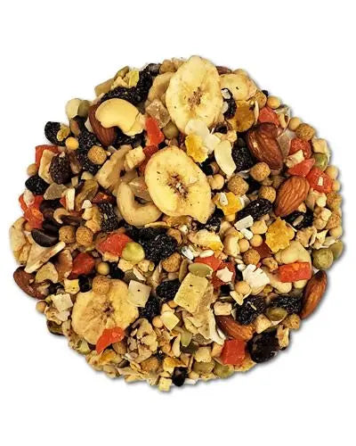 Vibrant mix of Higgins Fruit to Nuts bird seed with cashews, pumpkin seeds, raisins, and dried pineapple for hookbills.