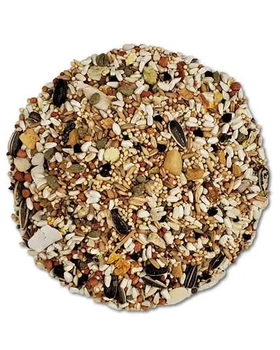 Vibrant Higgins Sunburst Conure Gourmet Mix with colorful fruits, vegetables, seeds, nuts, and grains for healthy birds.
