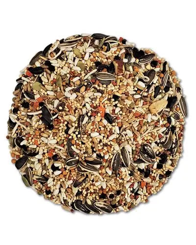 Vibrant mix of fruits, vegetables, seeds, grains, and nuts in Higgins Sunburst Cockatiel Gourmet Mix, sold by the pound.