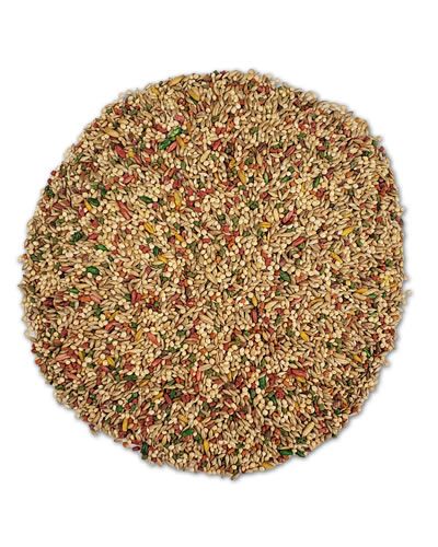 Vibrant mix of fresh seeds and grains in Kaytee Forti Diet Pro Health Parakeet food, packed with nutrients for bird health.