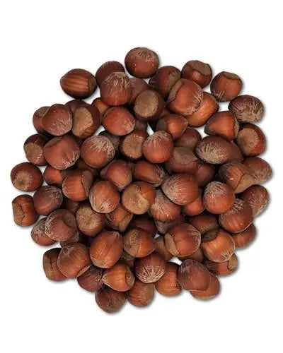 Crunchy hazelnuts in their natural shell, perfect as a healthy bird snack or for enriching foraging toys.