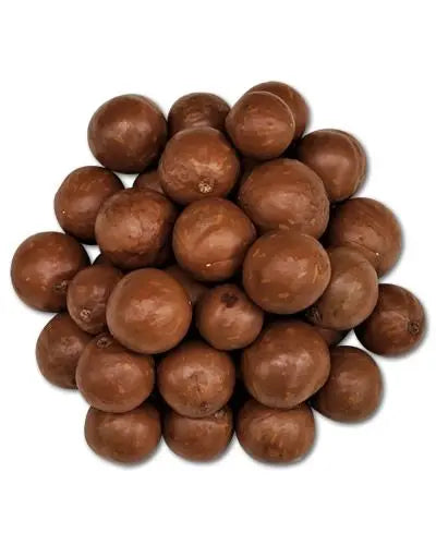 Crunchy macadamia nuts in their natural, rugged shells, perfect as a healthy bird treat or foraging snack.