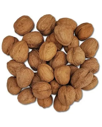 Crunchy whole walnuts in their natural shell, perfect as a nutritious foraging treat packed with protein and antioxidants.