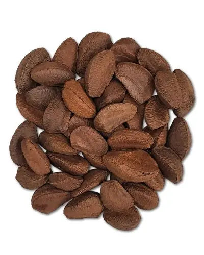 Crunchy Brazil nuts in their natural, rugged shells, perfect as a healthy treat or foraging snack for birds.