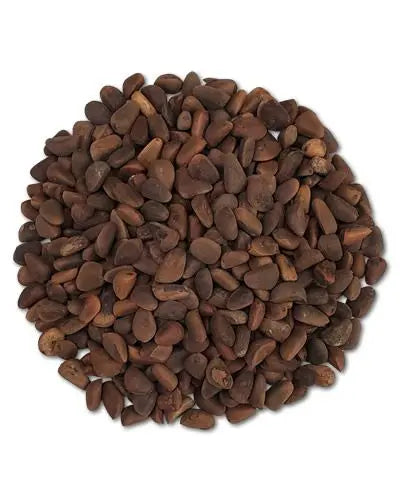 Crunchy pine nuts in their natural shells, perfect as a healthy bird snack or for engaging foraging toys.