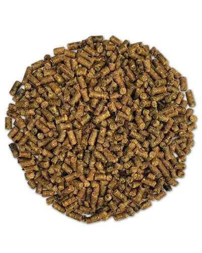 Roudybush Medium Daily Maintenance Pellets in a vibrant pile, ideal for small macaws and cockatoos transitioning diets.