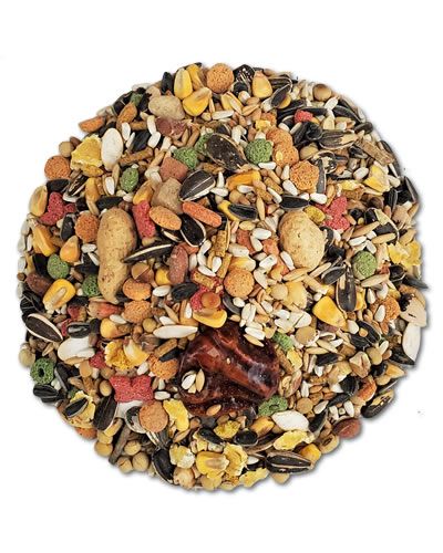 Vibrant Vita Parrot Bulk-Sun Seed mix, brimming with tropical fruits like papaya, pineapple, and coconut, plus colorful bits of apple and carrot.