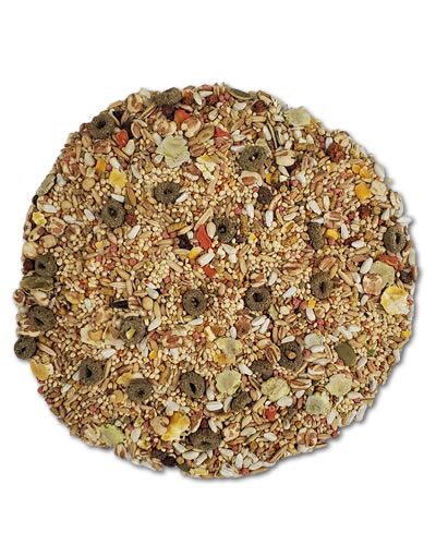 Vibrant mix of Sun Seed Vita Small Hookbill Safflower Formula, featuring tropical fruits like papaya and pineapple.