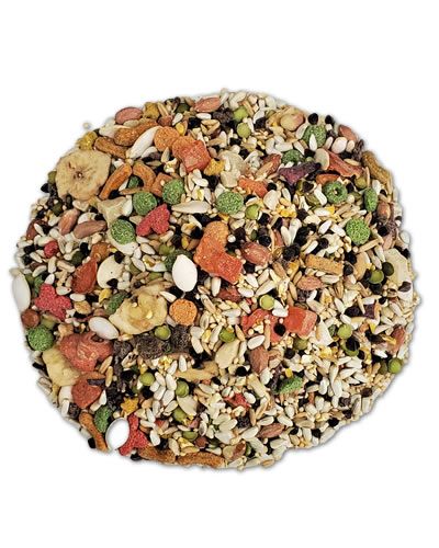 Vibrant mix of tropical fruits, veggies, and seeds in Sun Seed Large Hookbill Vita, bursting with colorful nutrition.