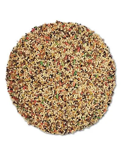 Vibrant Vita Finch Bulk-Sun Seed mix, bursting with tropical fruit bits like papaya and pineapple, plus a hint of orange scent.