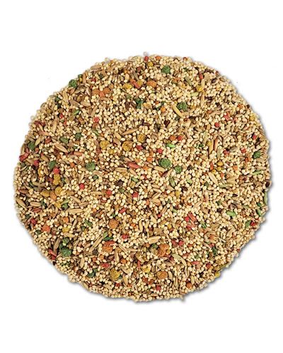 Vibrant Vita Parakeet Bulk-Sun Seed mix, brimming with tropical fruits like papaya, pineapple, and coconut, plus essential nutrients.