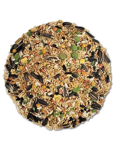 Vibrant Vita Cockatiel/Lovebird Bulk-Sun Seed mix, featuring colorful pellets, tropical fruits, and nutritious vegetables.