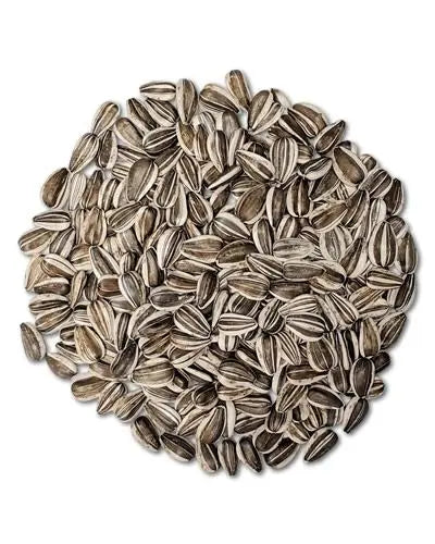 Vibrant pile of Grey Striped Sunflower Seeds, showcasing their distinctive striped pattern, ideal for bird treats.