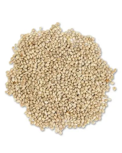 Vibrant pile of White Proso Millet seeds, showcasing their tiny, creamy-white grains ideal for nourishing wild birds.