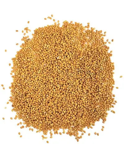 Golden Siberian Millet grains in bulk, perfect as a nutritious treat for finches, canaries, and small pet birds.