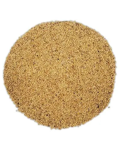 Golden German Millet grains in a loose pile, ideal as a nutritious treat for finches, canaries, and small pet birds.