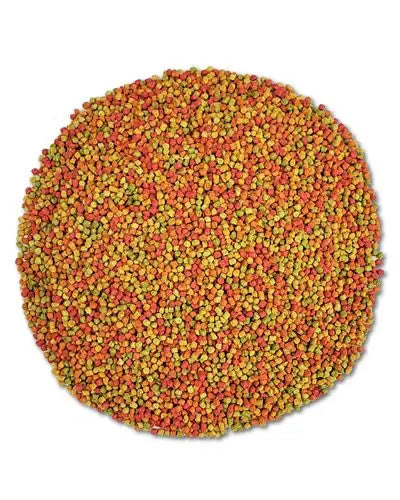 Vibrant Zupreem Small Parakeet Fruit Blend in a colorful mix, offering nutritious daily food for tiny hookbills.