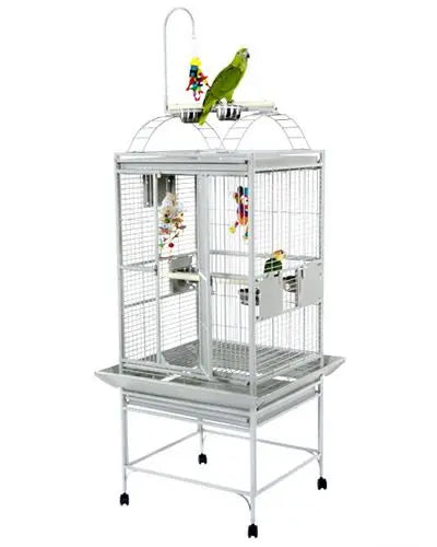 Gleaming 24x22 stainless steel dome top bird cage with secure locks, feeder cups, and a perch, perfect for small parrots.