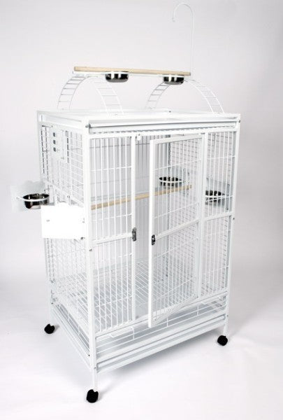 Spacious 48x36 A&E bird cage with a powder-coated finish, featuring a play top with ladders, perches, and toy hooks for large birds.