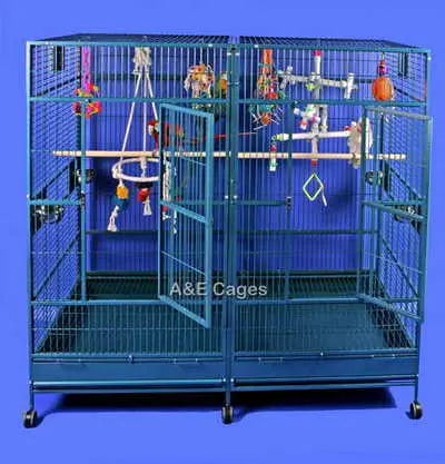 Spacious 80"x40" Double Macaw Cage with a sturdy divider, powder-coated finish, and multiple feeder doors for easy access.