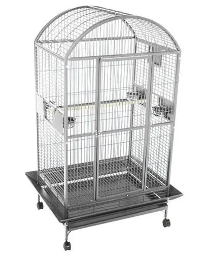 Sleek 36x28 stainless steel A&E bird cage with a dome top, featuring secure locks, feeder cups, and easy-rolling casters.