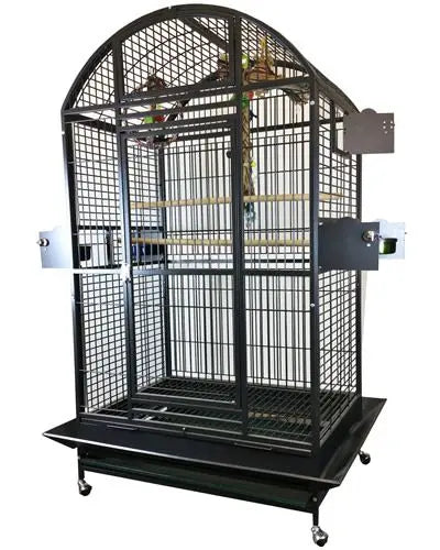 Spacious 40x30 green dome-top bird cage with a durable, non-toxic powder-coated finish, ideal for macaws and cockatoos.