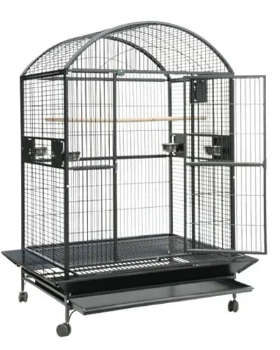 Spacious 48x36 powder-coated dome top bird cage with a durable, non-toxic finish, ideal for large birds like macaws.