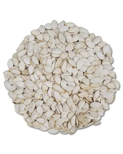 Crunchy pumpkin seeds in shell, perfect as a nutritious bird treat, displayed in a generous 15lb bulk pile.