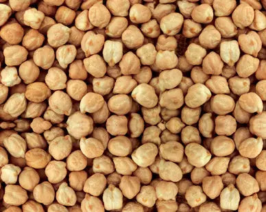 Crunchy 20lb bulk roasted chickpeas, golden and textured, perfect as a wholesome treat for birds.