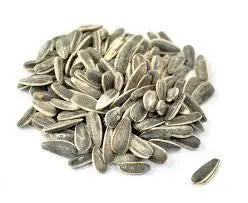 Vibrant pile of 10lb black striped sunflower seeds, perfect as a bird treat or training reward, in a bulk pack.