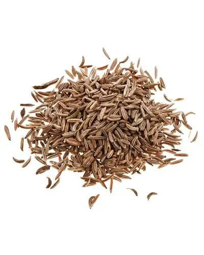 Vibrant pile of 20lb caraway seeds, perfect for bird feed, showcasing their rich brown hue and aromatic texture.
