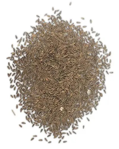 Close-up of 20lb bulk black lettuce seeds, perfect for birds, showcasing their tiny, dark texture in a heaping pile.