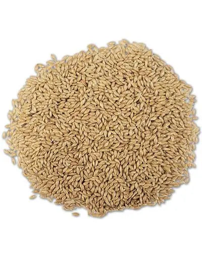 Bright yellow canary seed in a 20lb bulk bag, perfect for feeding birds with a nutritious, high-quality treat.