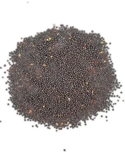 Close-up of 20lb bulk canola seed, showcasing tiny, dark, round seeds perfect for attracting birds to your feeder.