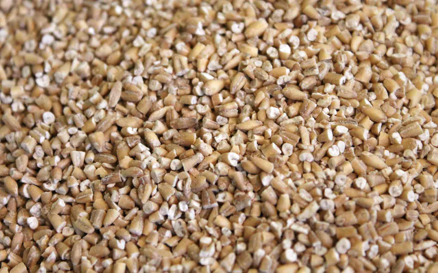Wholesome 20lb bag of Steel Cut Oats, perfect as a nutritious bulk ingredient for your bird's diet.