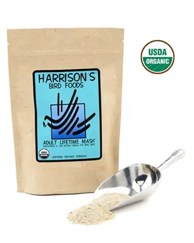 Sprinkle of Harrison's Adult Lifetime Mash, a fine, organic bird food powder in a 1lb bag, designed for healthy adult birds.