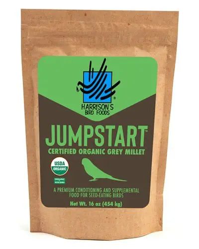 Close-up of Harrison's Jumpstart Grey Millet, a premium organic bird food with small, nutrient-rich grey seeds for seed-eating birds.