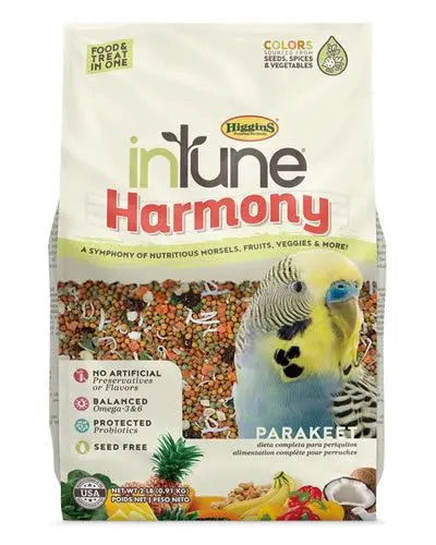 Vibrant mix of inTune Harmony Parakeet food with colorful extruded morsels, tropical papaya, pineapple bits, and cashews.