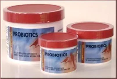Vibrant 6oz jar of Morning Bird ProBiotics, a microbial supplement for birds, featuring a colorful label on a clean background.