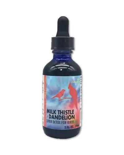 Vibrant 2oz jar of Morning Bird Milk Thistle/Dandelion Detox, a natural herbal blend for supporting bird liver health.